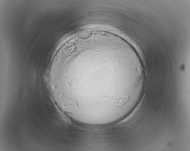 X0000116651529201001251146