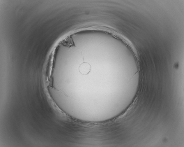 X0000116651530201001251146