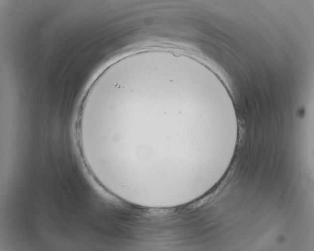 X0000116651531201001251146