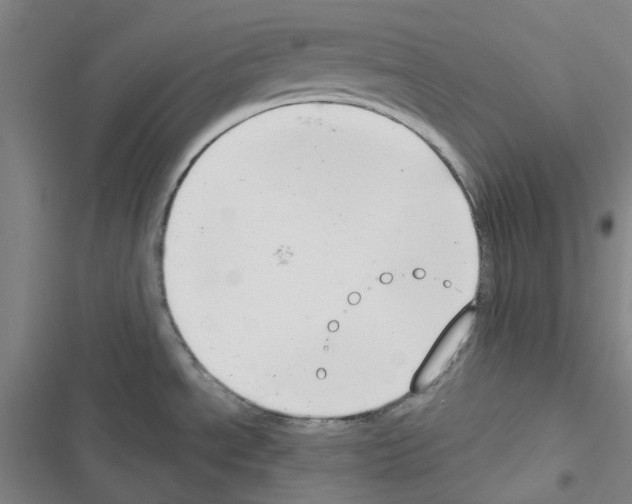 X0000116651534201001251146