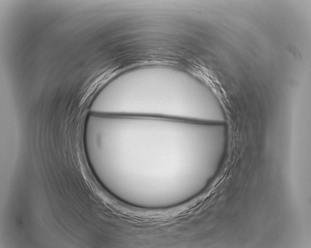 X0000116660001200912141036