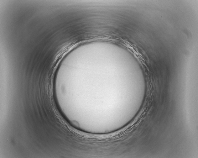 X0000116660002200912141036