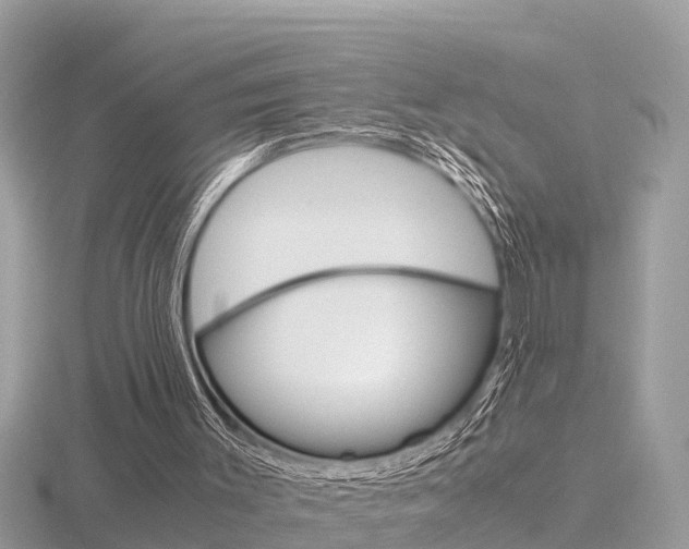 X0000116660003200912141036