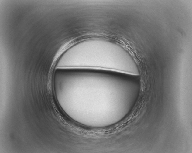 X0000116660004200912141036