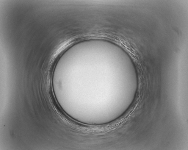 X0000116660005200912141036