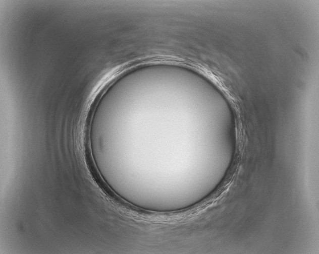 X0000116660007200912141036