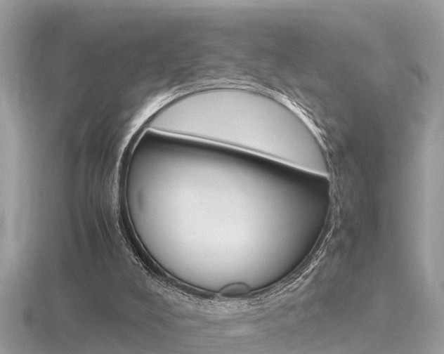 X0000116660008200912141036