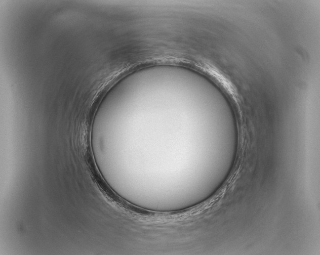 X0000116660009200912141036