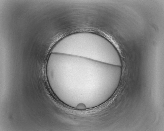 X0000116660010200912141036