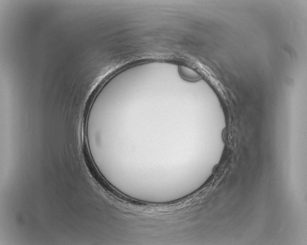 X0000116660011200912141036