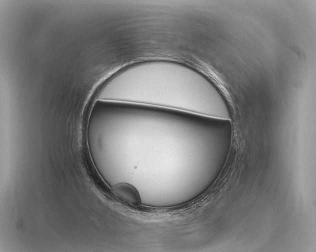 X0000116660012200912141036