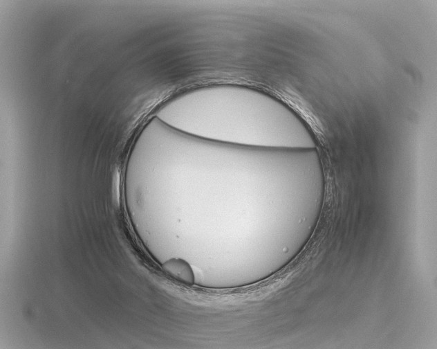 X0000116660014200912141036