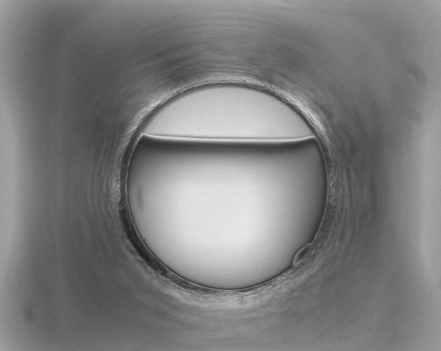 X0000116660015200912141036