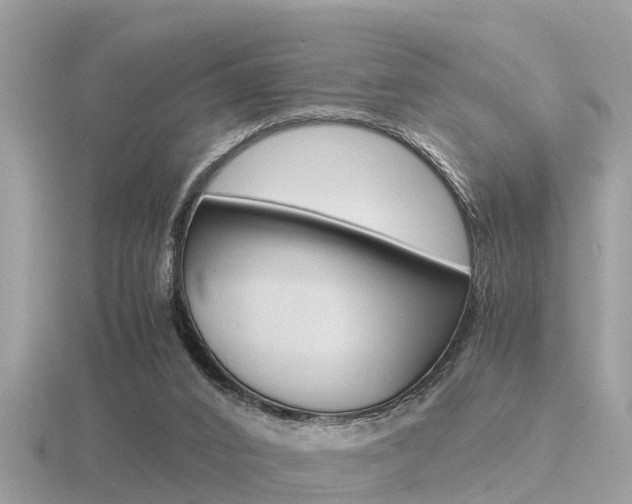 X0000116660016200912141036