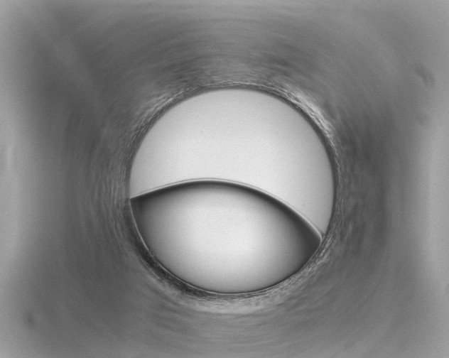 X0000116660017200912141036