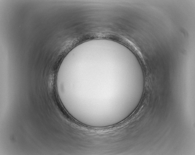 X0000116660018200912141036