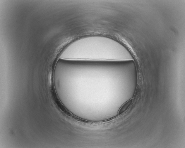 X0000116660019200912141036