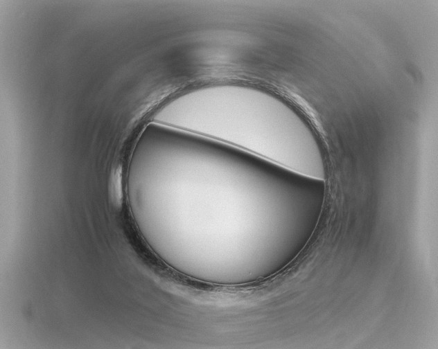 X0000116660020200912141036