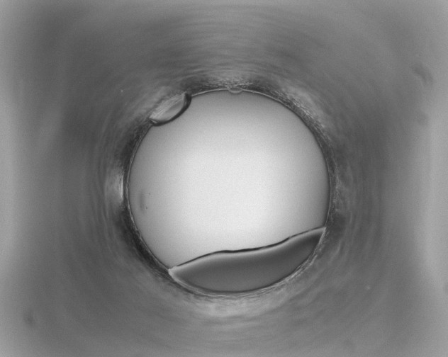 X0000116660021200912141036