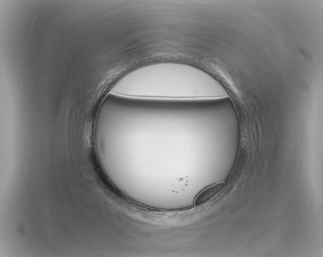 X0000116660023200912141035