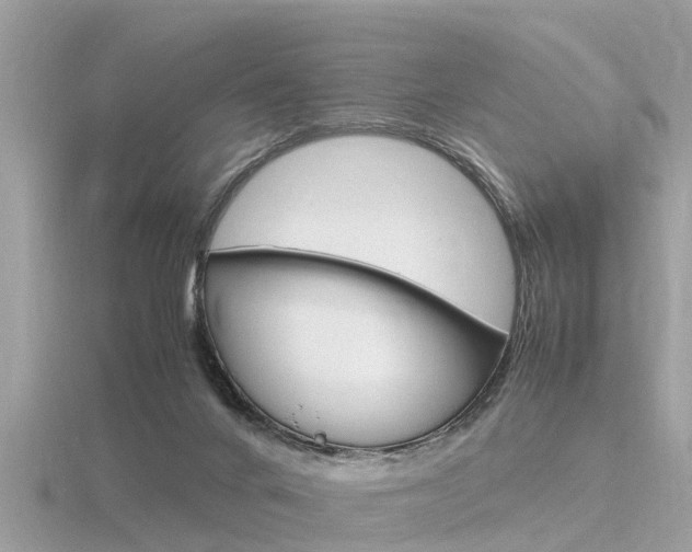 X0000116660024200912141035