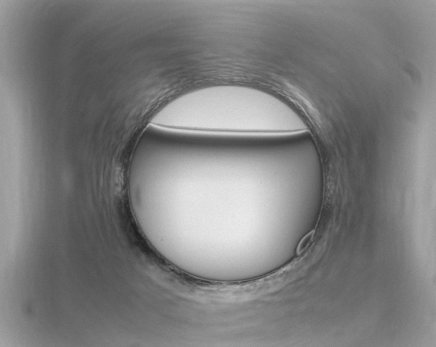 X0000116660025200912141035