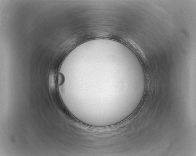 X0000116660026200912141035