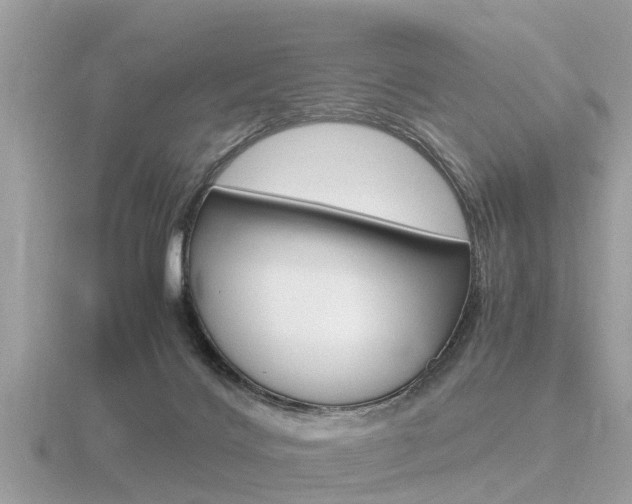 X0000116660028200912141035