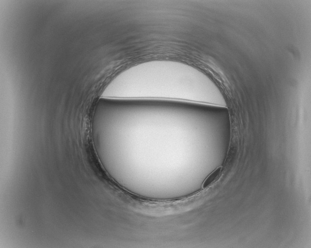 X0000116660029200912141035