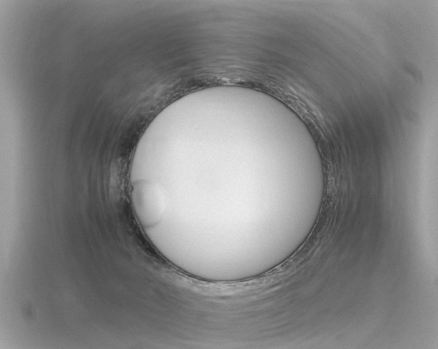 X0000116660030200912141035