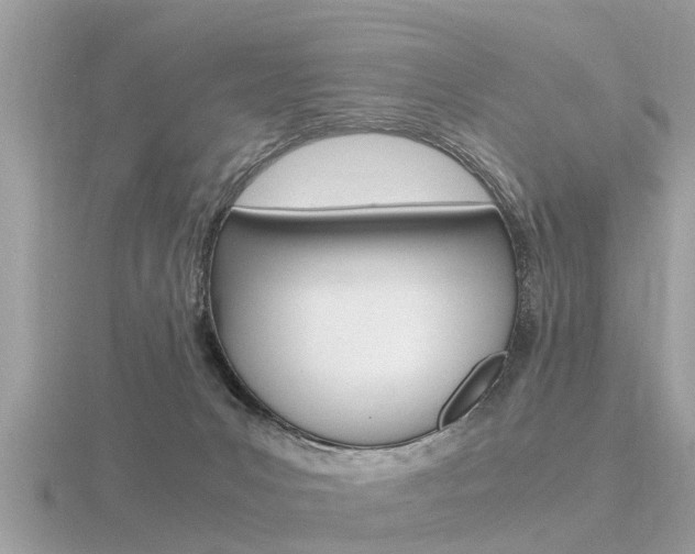 X0000116660031200912141035