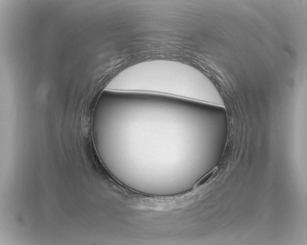 X0000116660033200912141035