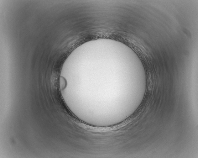 X0000116660034200912141035