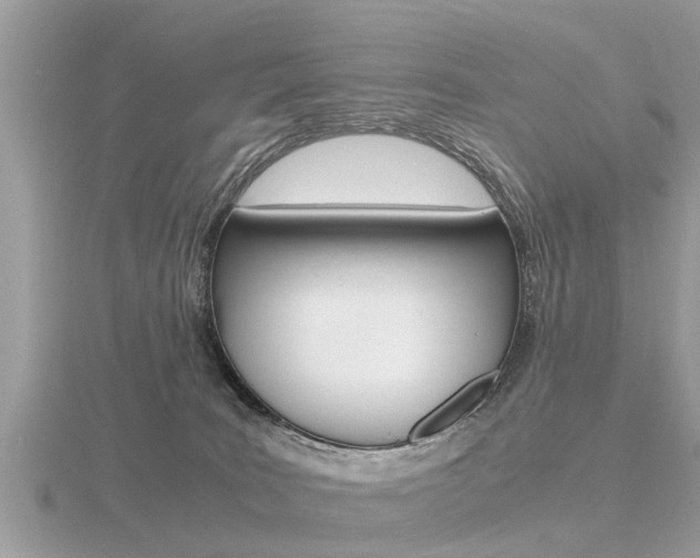 X0000116660035200912141035