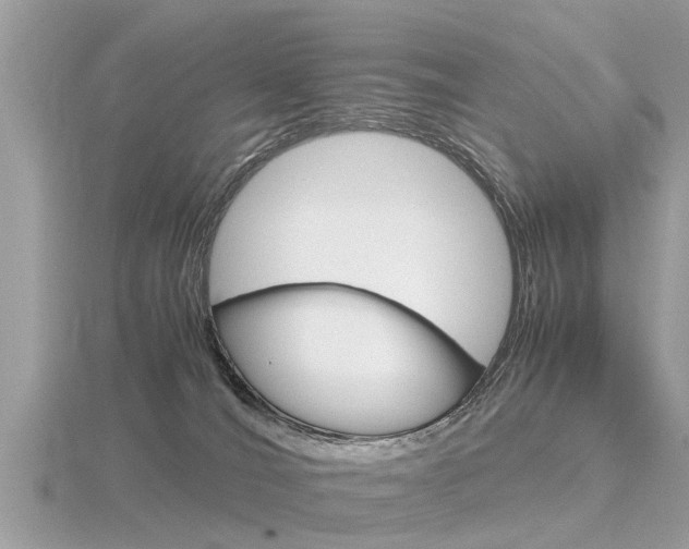 X0000116660036200912141035