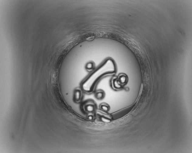 X0000116660037200912141035