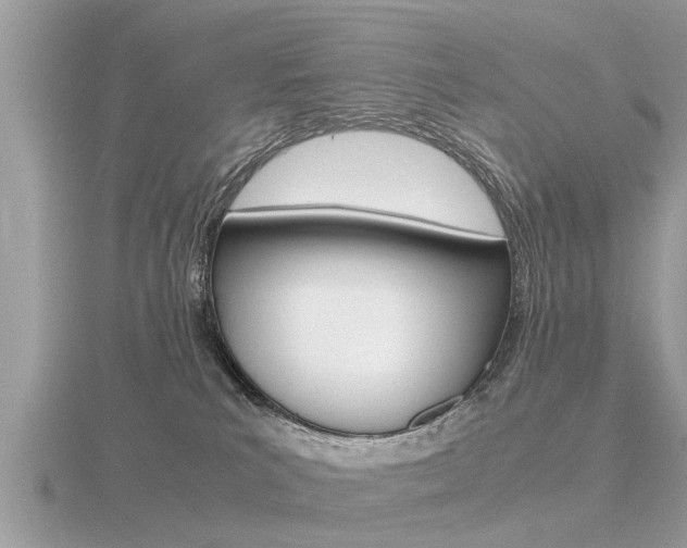 X0000116660039200912141035