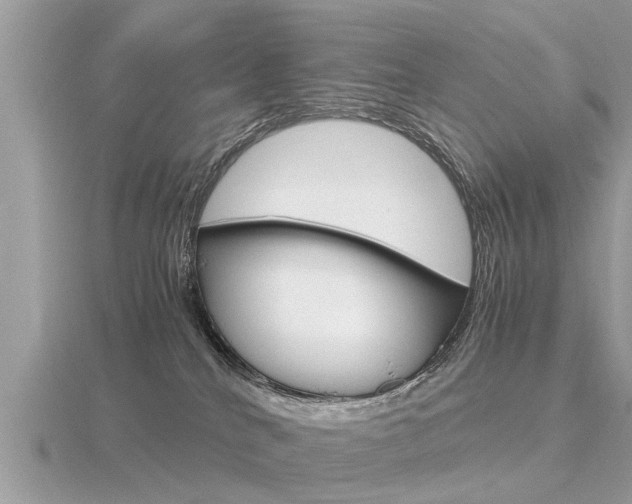 X0000116660040200912141035