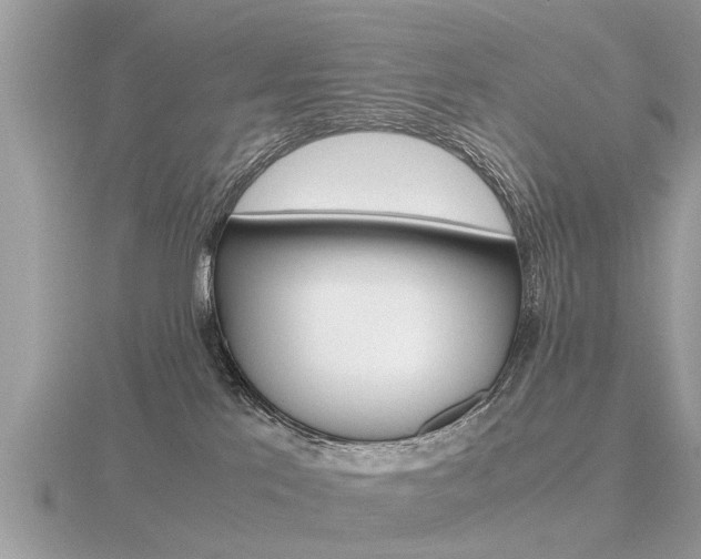 X0000116660041200912141035