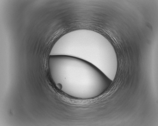 X0000116660044200912141035