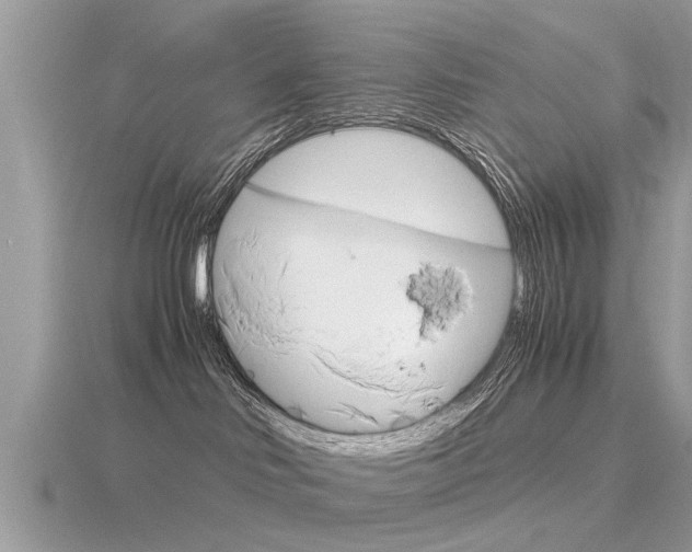 X0000116660046200912141035