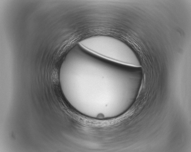 X0000116660048200912141035