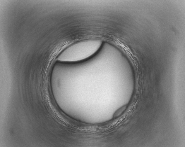 X0000116660049200912141034