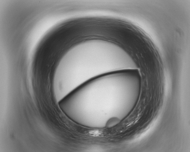 X0000116660050200912141034