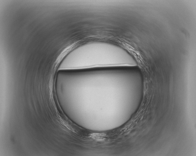 X0000116660051200912141034