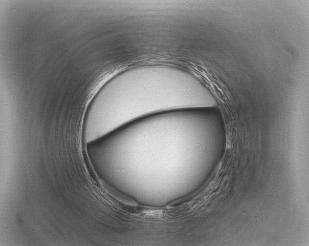 X0000116660052200912141034