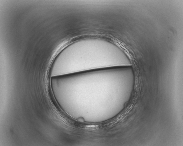 X0000116660053200912141034