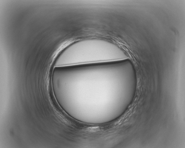 X0000116660054200912141034