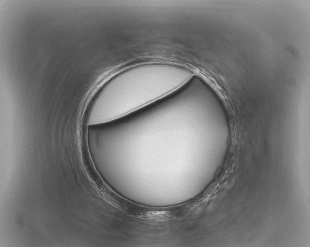 X0000116660055200912141034