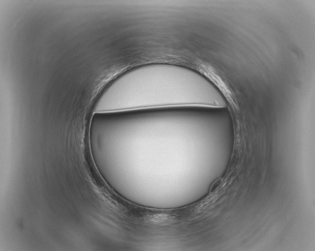 X0000116660058200912141034